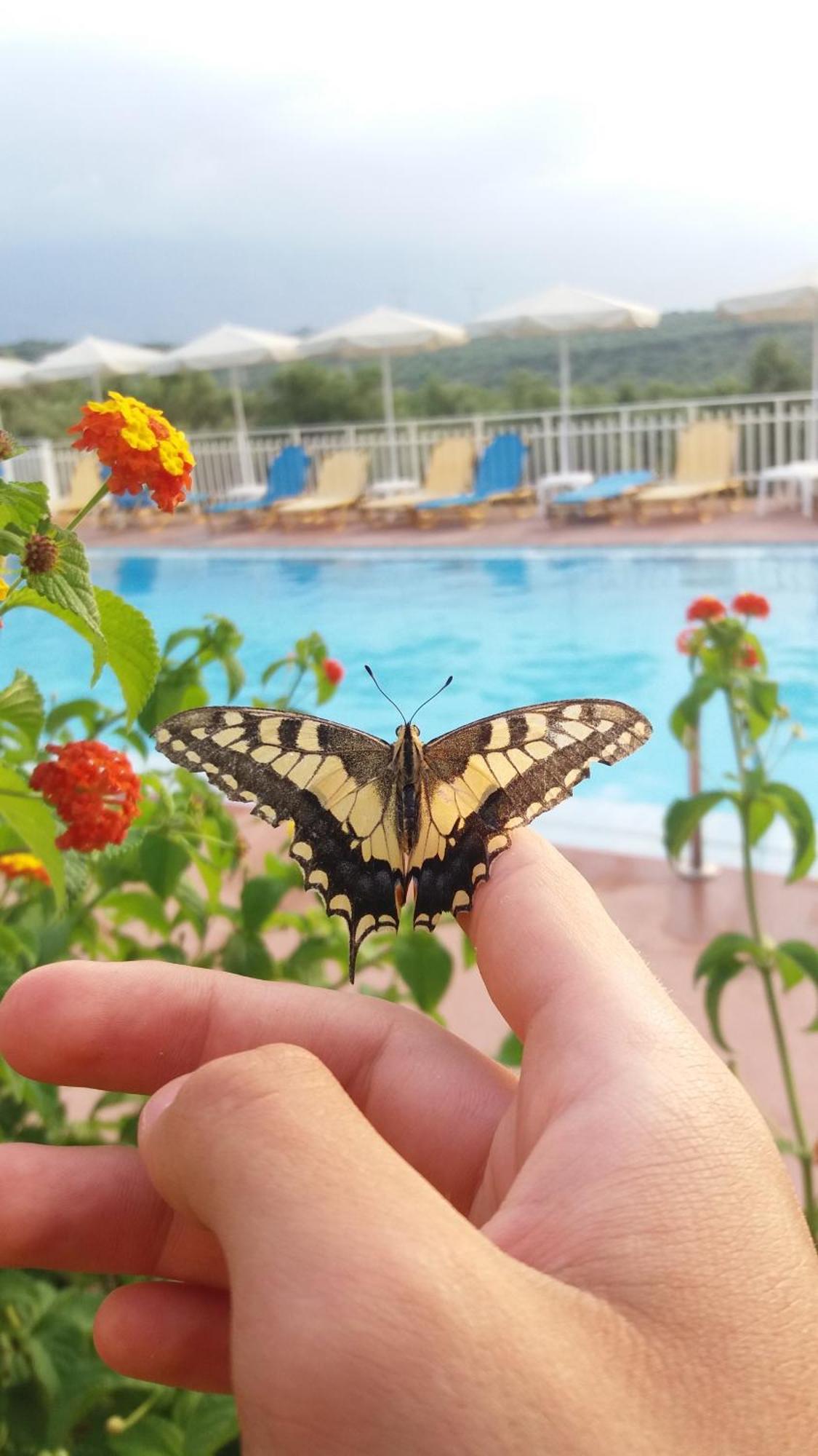 Calamon Apartments Episkopi  Екстер'єр фото