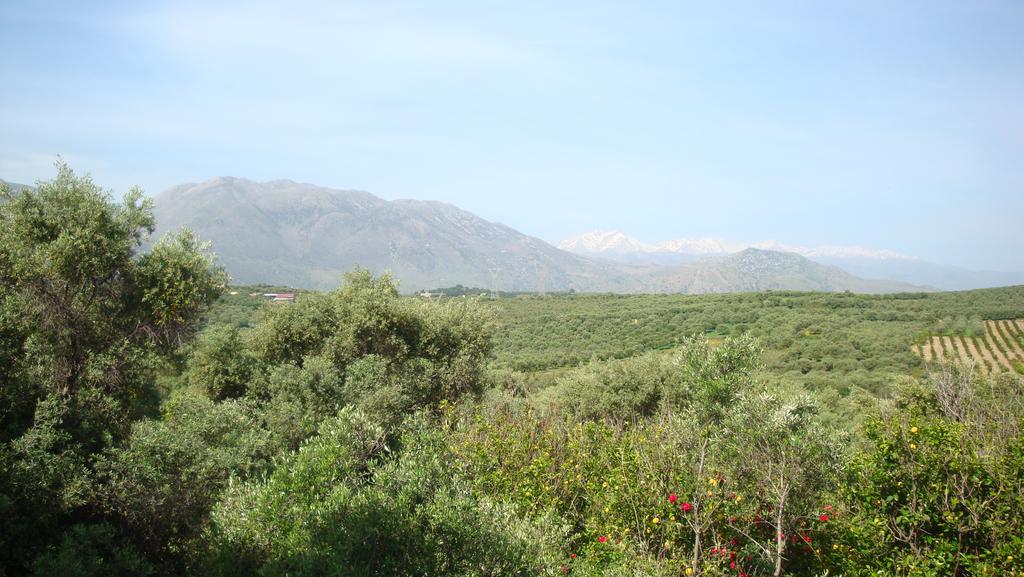 Calamon Apartments Episkopi  Екстер'єр фото