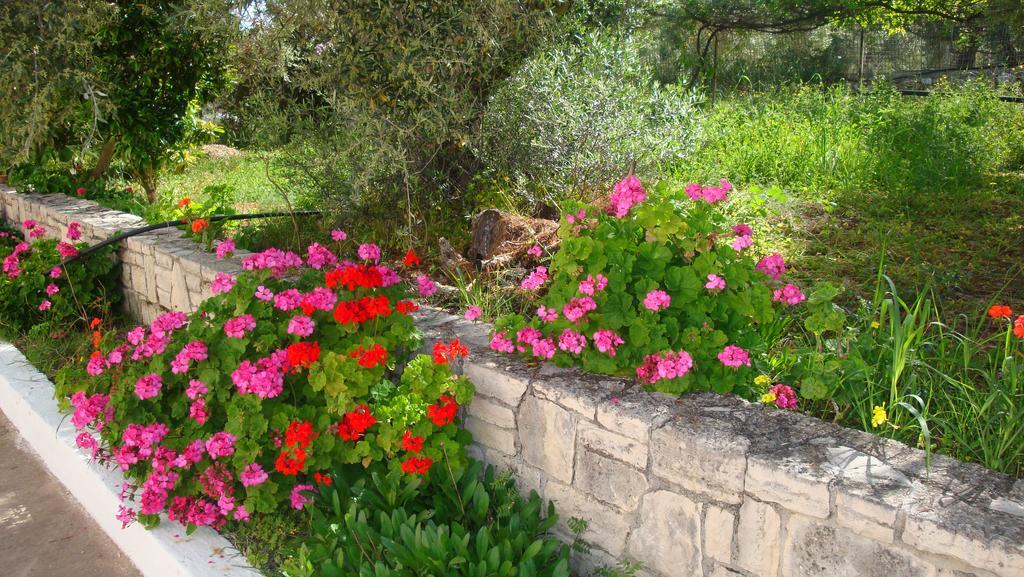 Calamon Apartments Episkopi  Екстер'єр фото